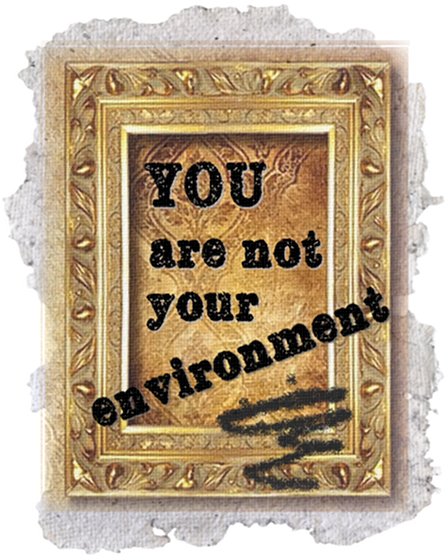 Meno you are not your environment 12 21 15